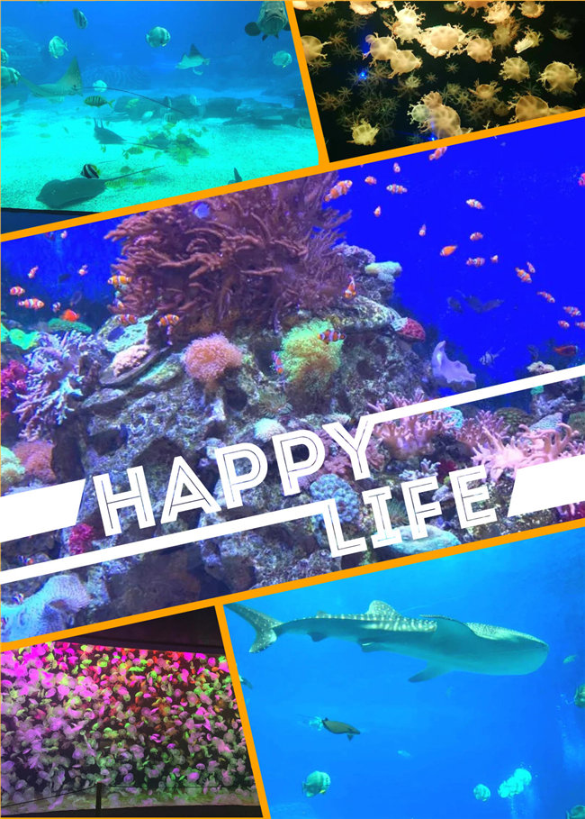 廣東博皓親子游：珠海長隆海洋王國，探索海洋生物的奧秘，奇妙的動物世界