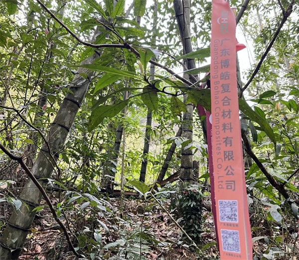 凝心聚力再出發(fā)，風(fēng)雨同舟赴星溪！--廣東博皓2024龍年首登星溪之旅     -2