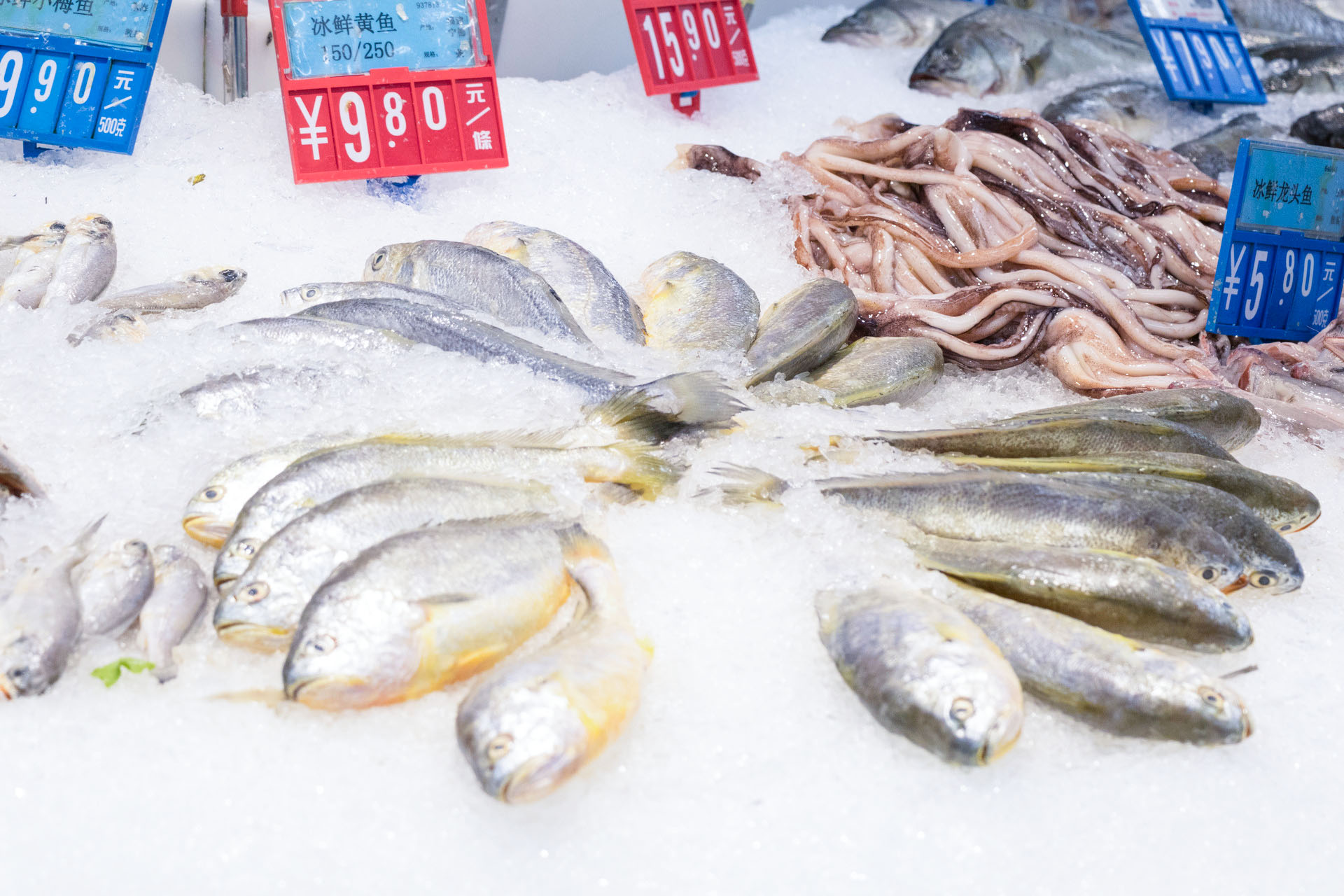 理性看待網(wǎng)紅趕海，注意水產(chǎn)品安全問(wèn)題！